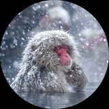 Telegram profile photo for Dan about life and engineering