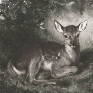 Telegram profile photo for бездна декаданса