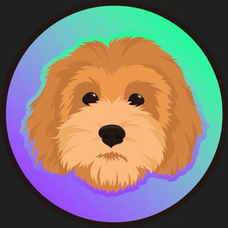 Telegram profile photo for Rocky | The Solana Founders Dog π