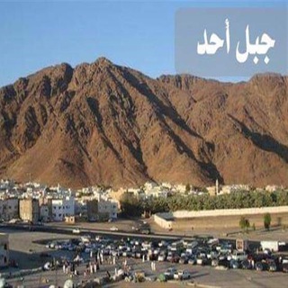Telegram profile photo for قناة فتاوى عمر بن الخطاب وأقضيته وأخباره