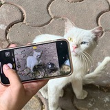Telegram profile photo for wtb wts gc old