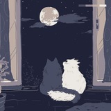 Telegram profile photo for vp with meowboys