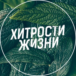 Telegram profile photo for Хитрости жизни