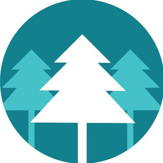 Telegram profile photo for IT в лесу 🌲👨💻