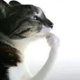 Telegram profile photo for переход