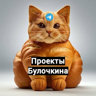 Telegram profile photo for Проекты Булочкина