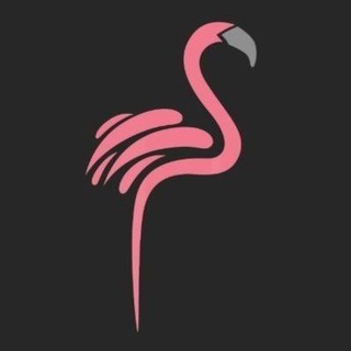 Telegram profile photo for Flamingo Traders