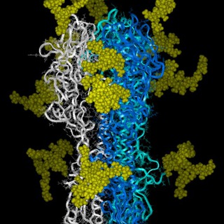 Telegram profile photo for Clinical Biochemistry
