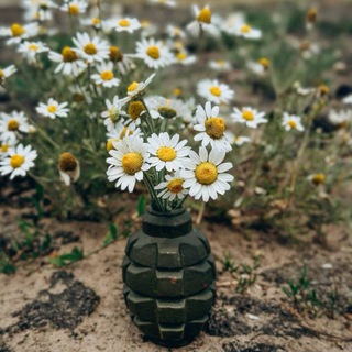 Telegram profile photo for Военная минута