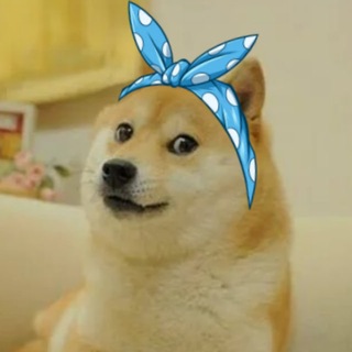 Telegram profile photo for phenotas #папамойсиксевен