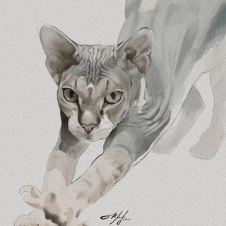 Telegram profile photo for Шц art