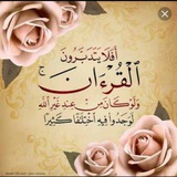 Telegram profile photo for الورد اليومي من القرآن💙🌸