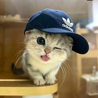 Telegram profile photo for 𝐏𝐚𝐫𝐚𝐝𝐨𝐱