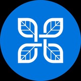 Telegram profile photo for HodlTree Official Channel