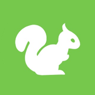 Telegram profile photo for Quiet Squirrel