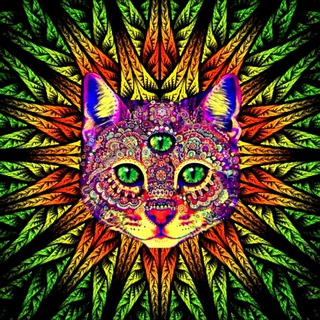 Telegram profile photo for Славянская Аяваска | Аяхуаска | Аяуаска | Буфо Альвариус | Камбо | Сан-Педро