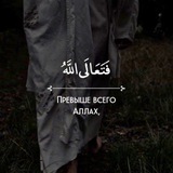 Telegram profile photo for жилище маймуновских
