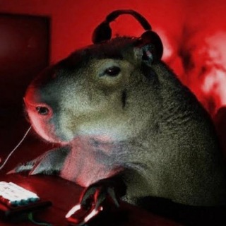 Telegram profile photo for абоба