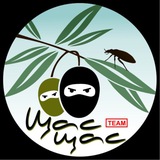 Telegram profile photo for Shas Shas TEAM tv