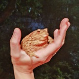 Telegram profile photo for Spookie-Dookie Memes