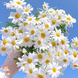 Telegram profile photo for КРАСИВЫЕ ОТКРЫТКИ И ТЕПЛЫЕ ПОЖЕЛАНИЯ 💕
