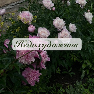 Telegram profile photo for Недохудожник