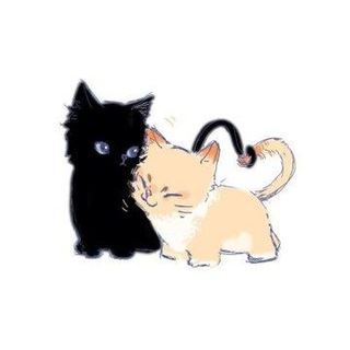 Telegram profile photo for coop ¡ !
