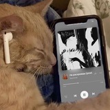 Telegram profile photo for $aytome