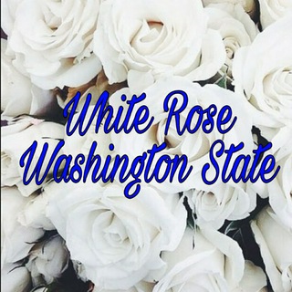 Telegram group profile photo for The White Rose Washington state