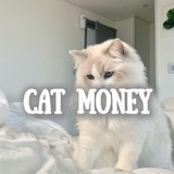Telegram profile photo for 🤍𝒄𝒂𝒕 𝒎𝒐𝒏𝒆𝒚🤍| заработок на отзывах