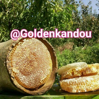 Telegram profile photo for 🐝🍯کندوی طلایی🐝🍯