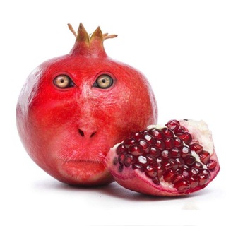 Telegram profile photo for Fuck society
