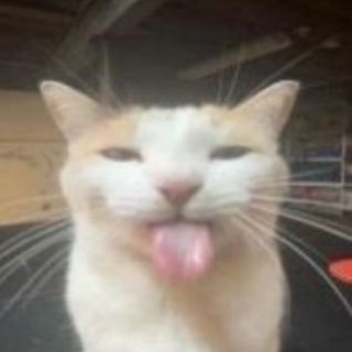 Telegram profile photo for ла-лаваш