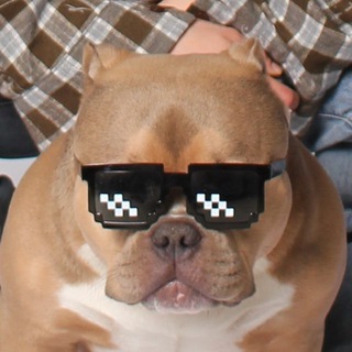 Telegram profile photo for Бося Печенюшкин