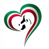 Telegram profile photo for Standby libertà