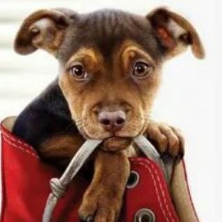 Telegram profile photo for Все фильмы
