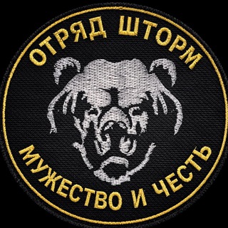Telegram profile photo for Отряд специального назначения «Шторм»