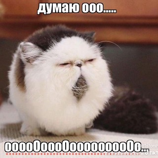 Telegram profile photo for аэле