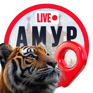 Telegram profile photo for Амур LIVE