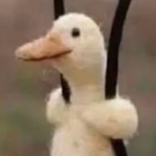 Telegram profile photo for turko shitters