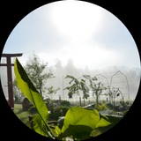 Telegram profile photo for 🪷Gute Natur Elisabeth Eder🍀