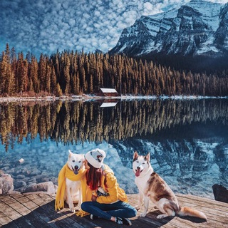 Telegram profile photo for Nature 4k 🏞️