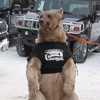 Telegram profile photo for Hummerclubrus.ru