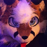 Telegram profile photo for Neko's Fursuiting Gallery 📸