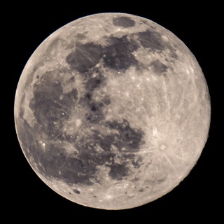 Telegram group profile photo for MOONCOIN