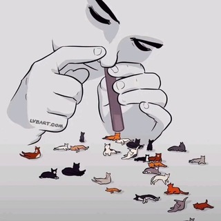 Telegram profile photo for 今日猫瘾发作