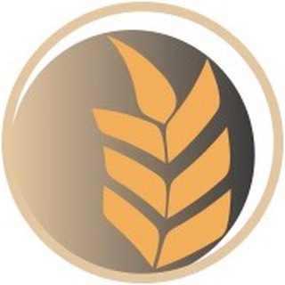 Telegram profile photo for Air Basic - Group