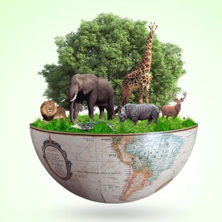 Telegram profile photo for ENVIRONMENT MINDMAPS