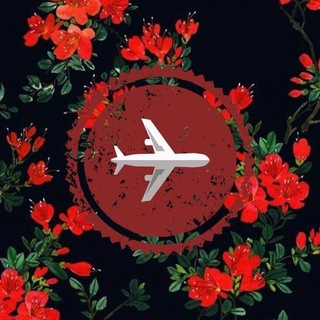 Telegram profile photo for ИНФОГРАФИКА/WB/OZON ПОСТАВЩИКИ/РЕКЛАМА🚀