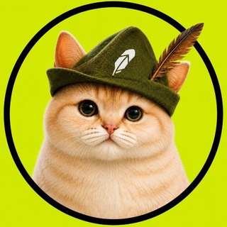 Telegram profile photo for HoodCat (OG)